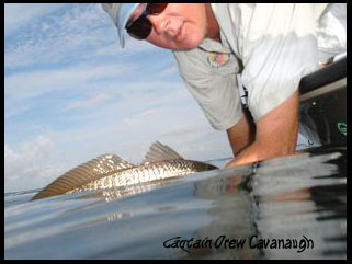 Captain Drew Cavanaugh Florida Fishing Guide